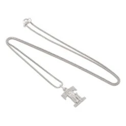 Death Row Records X King Ice - Sterling Silver Flyweight Logo Necklace 13 Death Row Records X King Ice - Sterling Silver Flyweight Logo Necklace -King Ice death row records x king ice sterling silver flyweight logo necklace king ice 37184765984943