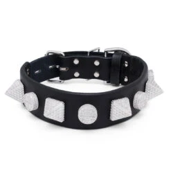 Pyramid Iced Dog Collar -King Ice pyramid iced dog collar white gold king ice 31307861721263
